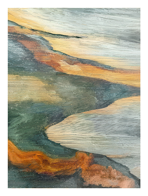 Variety and Colors V